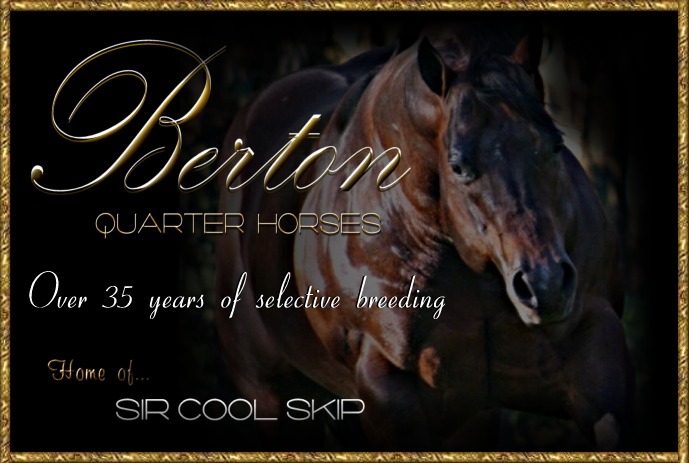 AQHA Stallion...Sir Cool Skip an AQHA top Leading Halter Horse Sire by Ima Cool Skip standing at Berton Quarter Horses in Petaluma, California. We have a great selection of world class halter horses for sale.
