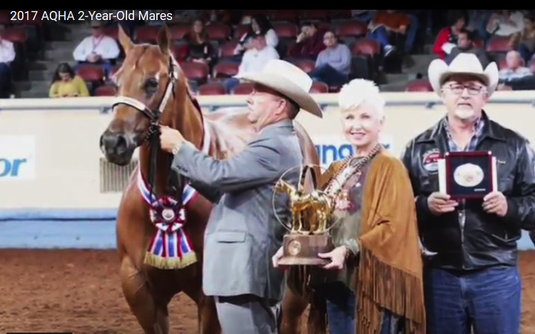 Squires Famous Doll World Champion 2017 AQHA 2-Year-Old Mares